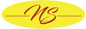 logo_ns